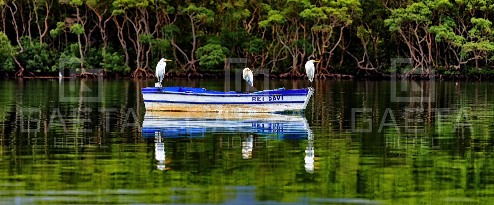 Guarapari – Manguezal